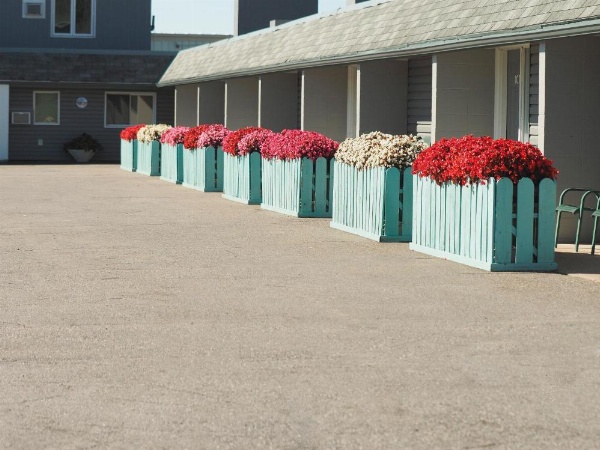 Ambassador Motel image 12