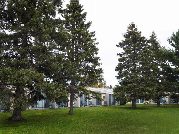 Ambassador Motel image 6